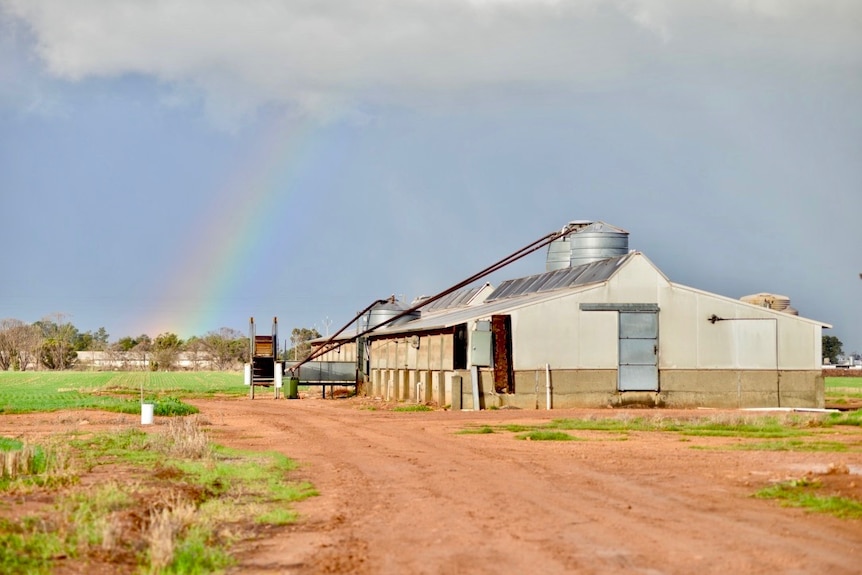 An exterior shot of a large agricultural shed in a green field with a rainbow in the background.