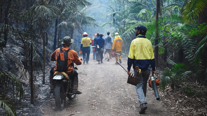 A group of people, one on a motorbike, heading down a rainforest track, the forest on one side is burnt by bushfire.