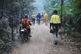 A group of people, one on a motorbike, heading down a rainforest track, the forest on one side is burnt by bushfire.