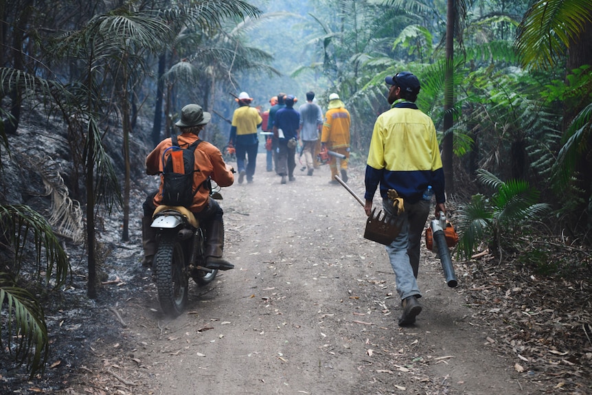 A group of people, one on a motorbike, heading down a rainforest track, the forest on one side is burnt by bushfire.