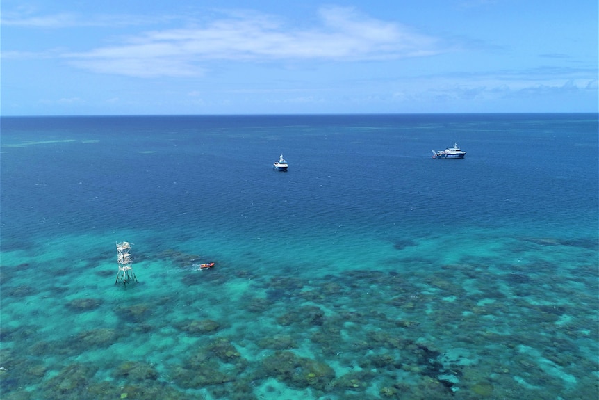On a sunny day, two boats are drifting over coral reefs, around two buoys. 
