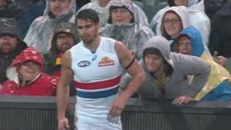 Western Bulldogs captain slapped on the behind by a Crows fan.