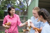 A woman standing next to two students holding lambs
