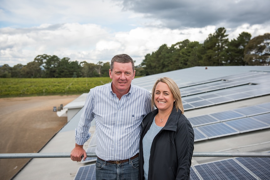 Ross Hill Wines solar panels