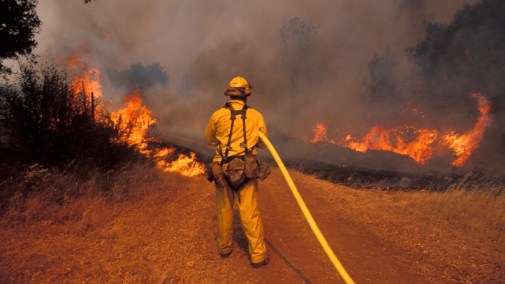 A fire fighter uses a hose to fight a bushfire