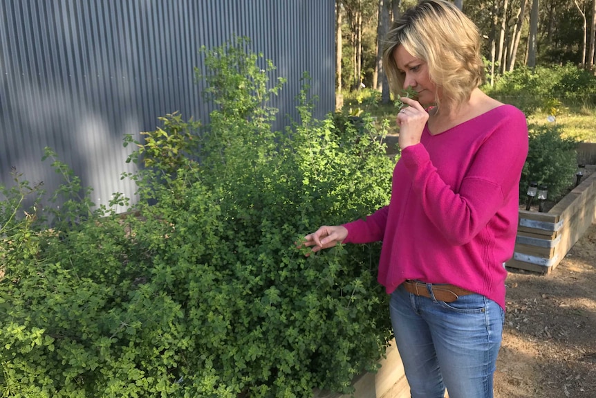 A woman smells a sprig of leaves pulled from a herb and botanicals garden planted next to a large shed.