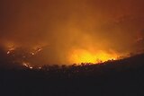 Blue Mountains: A large bushfire is continuing to burn out of control (file photo).