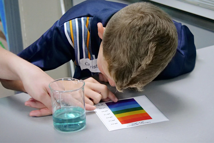 Close up image of young boy bent over a sheet of different colours on a classroom table
