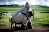 Trish Esson with one of her Cashmere goats on her property near Ballarat.