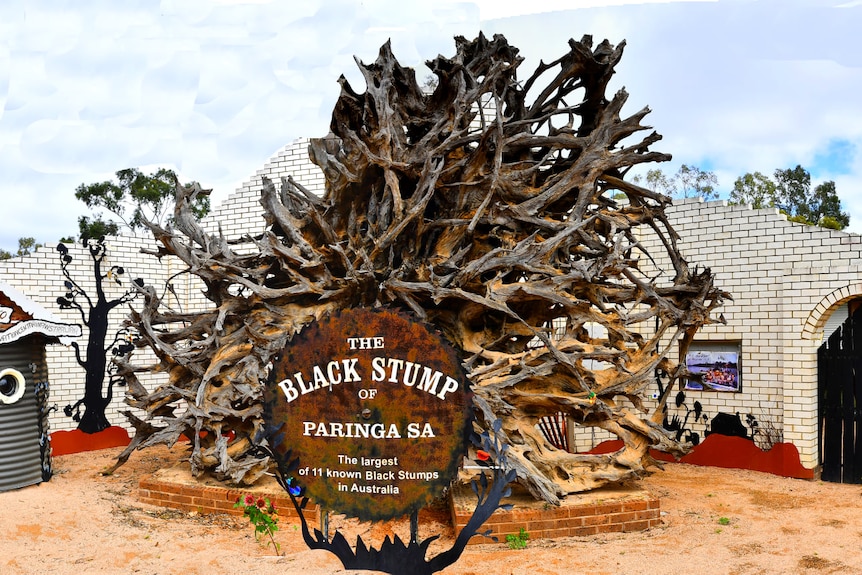 A tree's root system is on display in front of a brick wall, surrounded by metal signs and a small information centre.