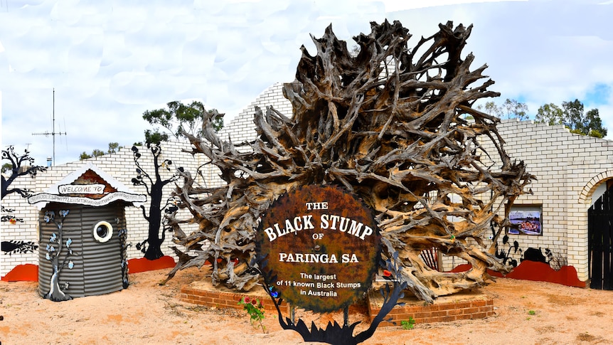 A tree's root system is on display in front of a brick wall, surrounded by metal signs and a small information centre.