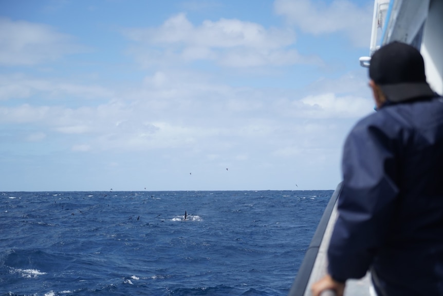 A man in foreground on a boat watches the ocean