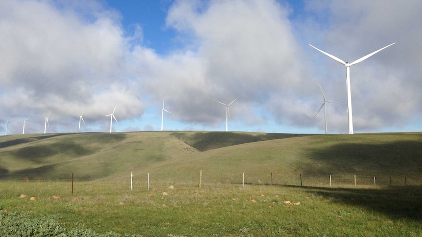 Snowtown wind farm