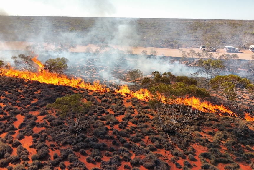 An aerial photo of a line of fire along foliage in the desert