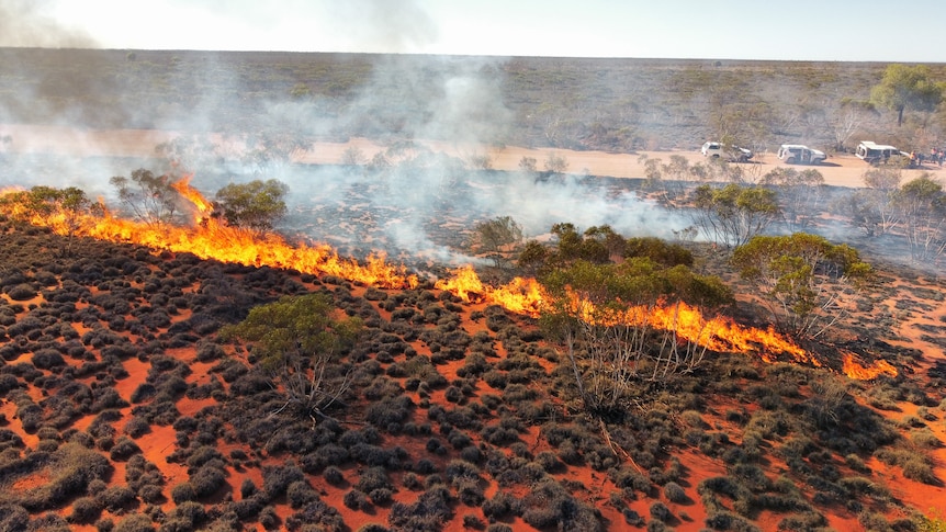 An aerial photo of a line of fire along foliage in the desert