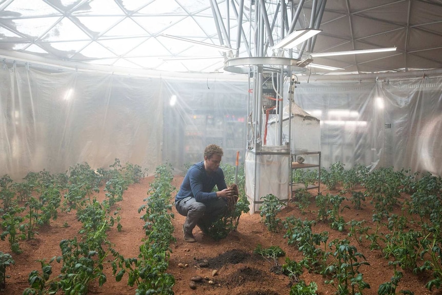 Matt Damon kneels in his greenhouse on Mars and inspects a potato