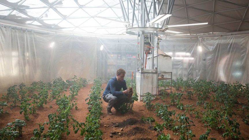 Matt Damon kneels in his greenhouse on Mars and inspects a potato