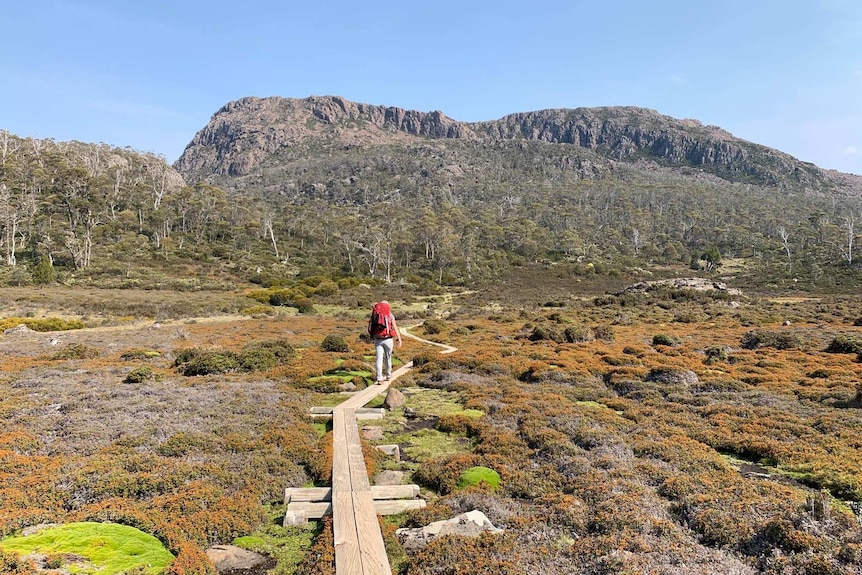 A woman walks on a boarded path through Tasmania's Walls of Jerusalem national park, Feb 2020.
