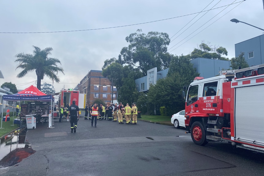 Fire trucks and firefighters gather on a street near a charred four-storey brick building.