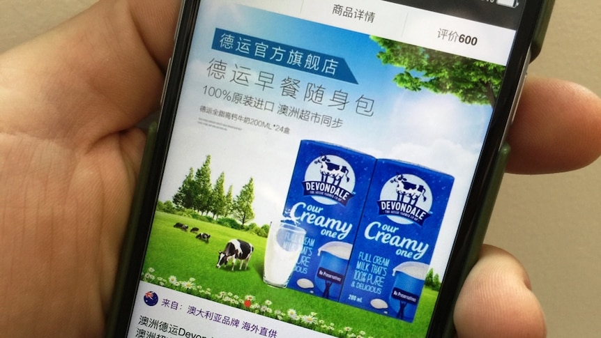 A hand holds a smartphone displaying Australian milk for sale through an online Chinese shopping outlet.