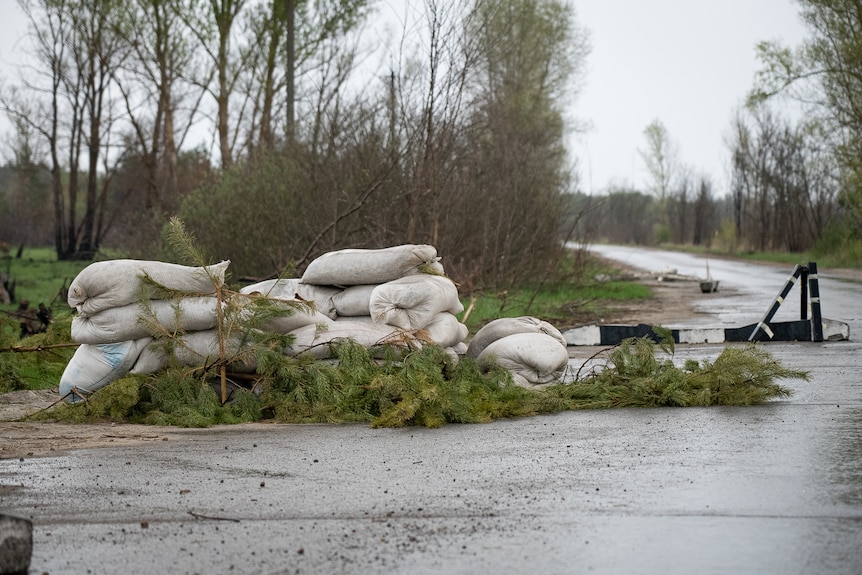 Sandbags are piled up behind a few sparse branches across a wet road leading towards a forest