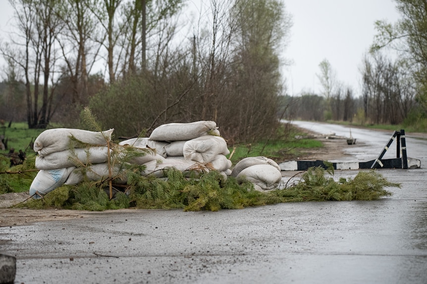 Des sacs de sable sont entassés derrière quelques branches clairsemées sur une route mouillée menant à une forêt