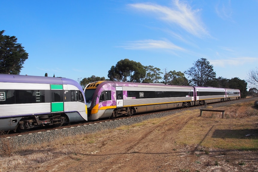 Four carriages of a Vline passenger train passes alongside dry grass.