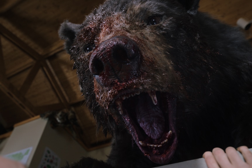 A large black bear roars with its mouth wide and its face splattered with blood over a table inside a wooden building.