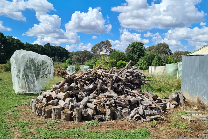 A pile of firewood on a rural property.