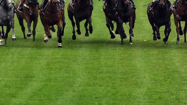 The field makes its way down the front straight during a race (Getty Images: Robert Cianflone, file photo)