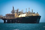 ONG cargo ship Asia Excellence leaves Gorgon Is with first LNG in March 2016