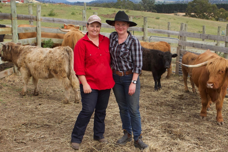 Bec Lynd and Bec Tudor with the Scottish Highland cattle.