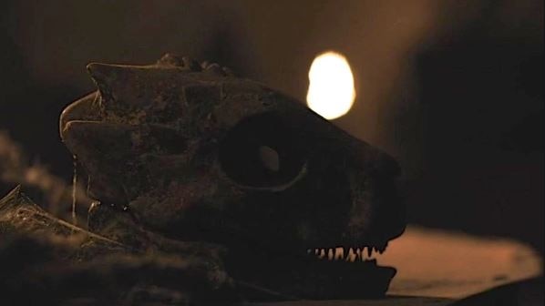 A dragon skull from the HBO series Game of Thrones