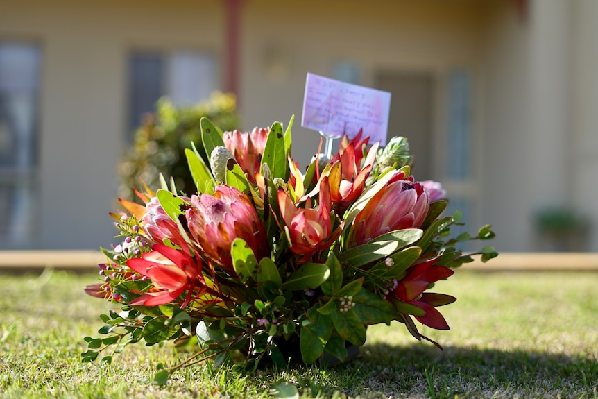 A bunch of red flowers on the lawn outside a house