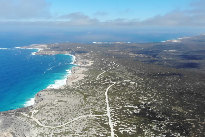 A photo taken from very high in the air, A long green coastline stretches to a point that reaches into a deep blue sea