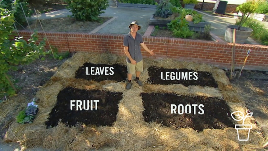 Presenter standing amongst 4 vegie beds with text leaves, legume, fruit, roots marked on each bed