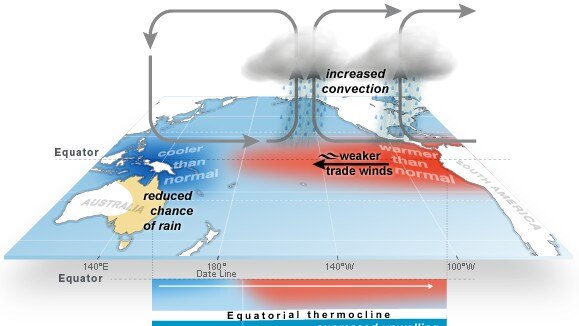 A graph of El Nino weakening the Walker circulation