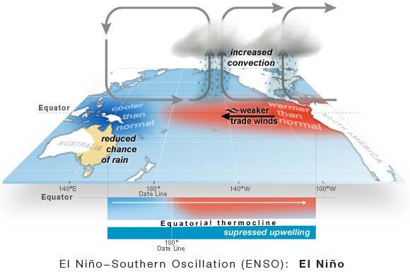 A graph of El Nino weakening the Walker circulation