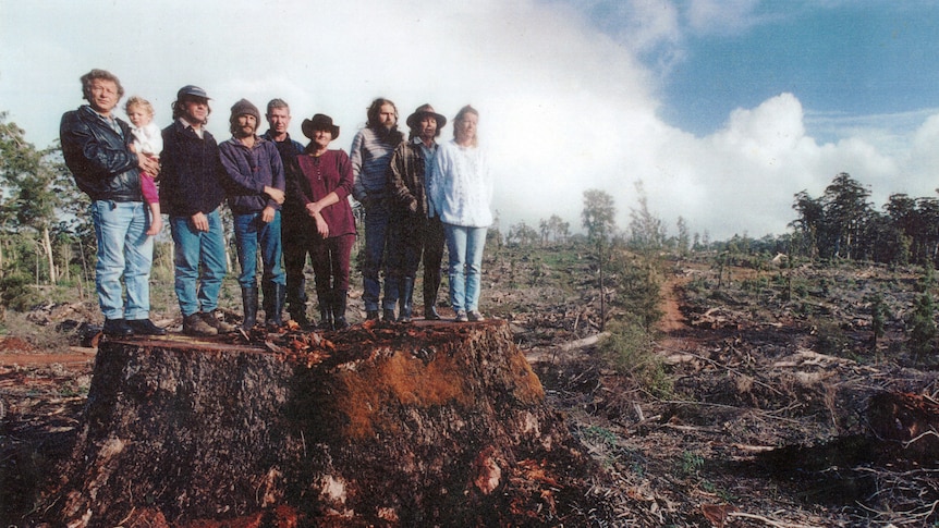 Group of men and women stand on the stump of a felled tree