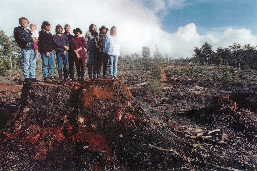 Group of men and women stand on the stump of a felled tree