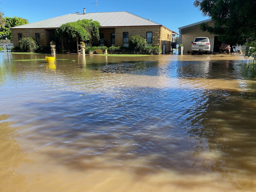 A house, shed and car surrounded by flood water
