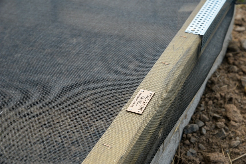 A thin timber plank frames fine black mesh and is overlaid with a metal plaque that says 'Built by Cowra Men's Shed'.