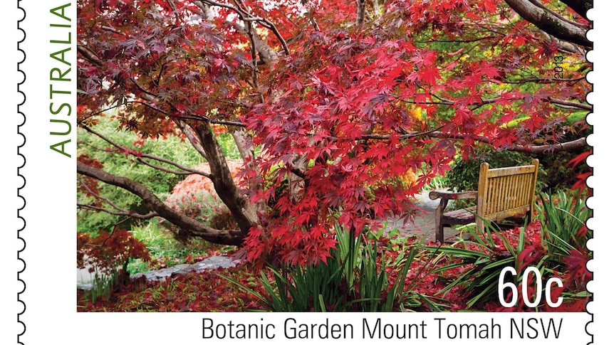 Botanic Garden at Mount Tomah in New South Wales.