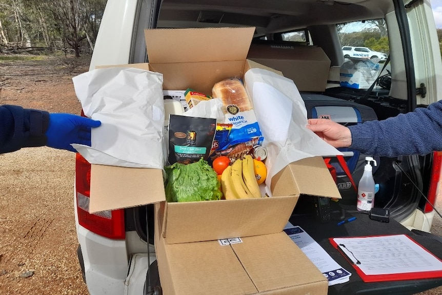 A box of food with bread, lettuce, bananas and milk.