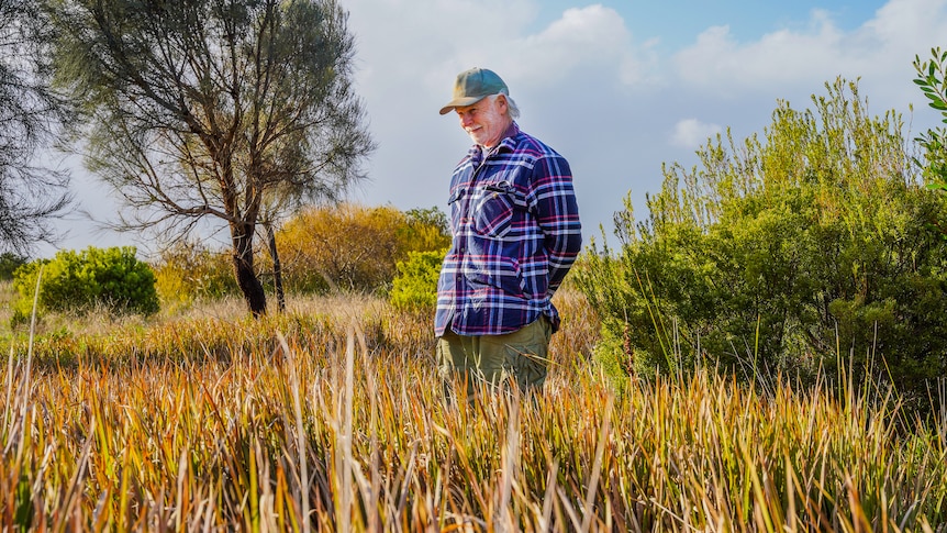 A man in a flannel shirt walks through a lush field.