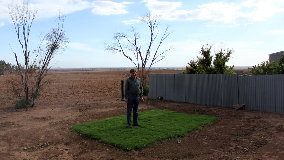 A man in a green shirt and jeans stands on a small patch of green grass among the brown soil of a bare field.