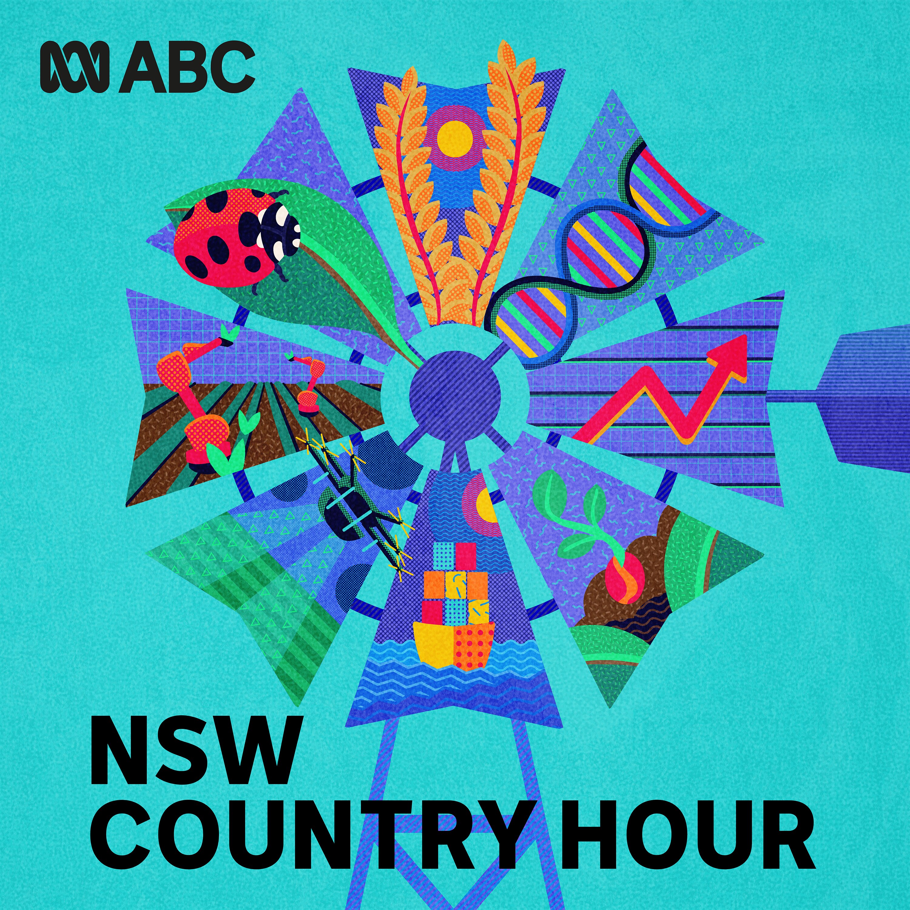 New South Wales Country Hour