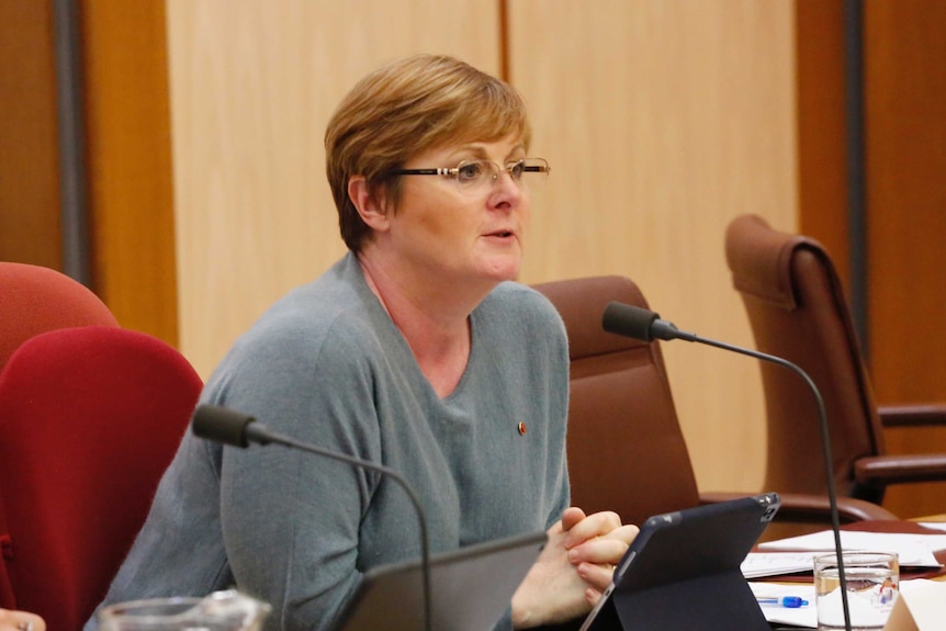 Senator Linda Reynolds asking questions in a parliamentary committee hearing. She's wearing glasses and a grey top.