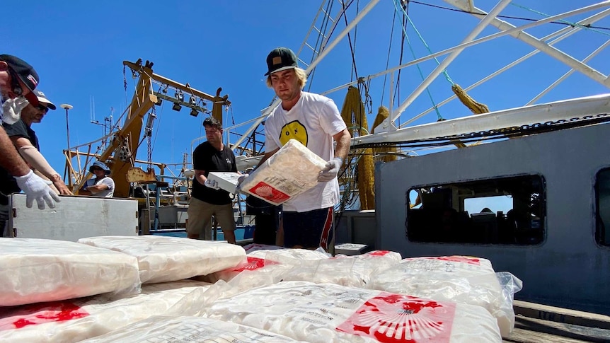 Fishermen unloading a catch off a boat.