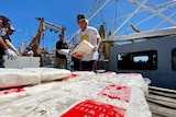 Fishermen unloading a catch off a boat.